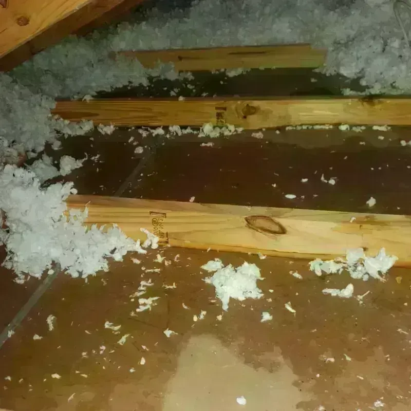 Attic Water Damage in Versailles, KY